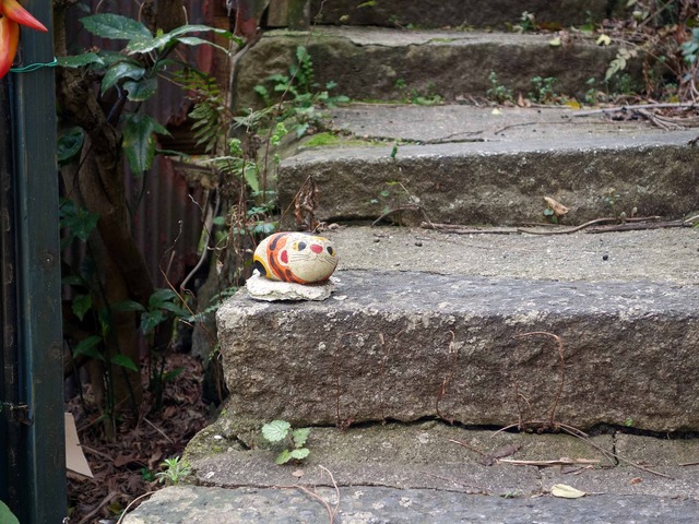 福石猫 11_edit