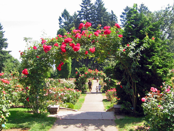 Rose Garden 4_edit