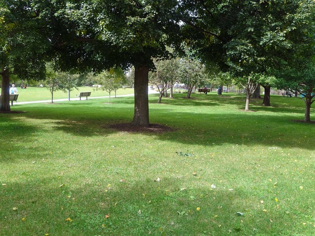 Scoville Park 5_edit