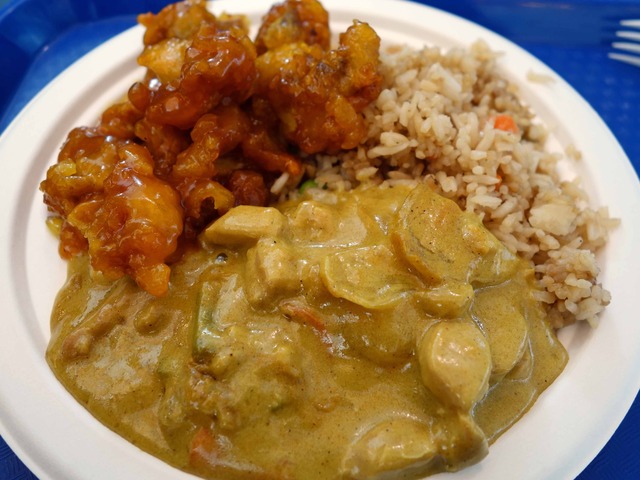 Curry, Orange Chicken, Fried Rice 1_edit