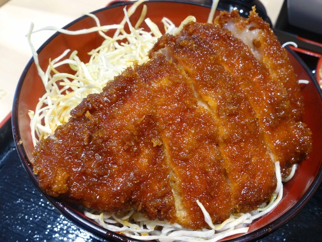ソースかつ丼 7_edit