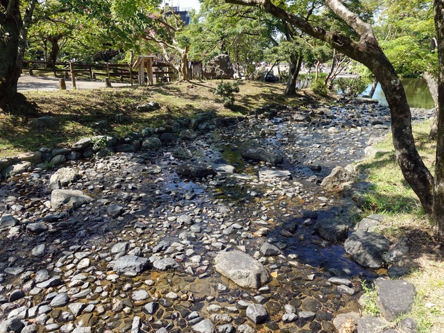 円山公園 6_edit