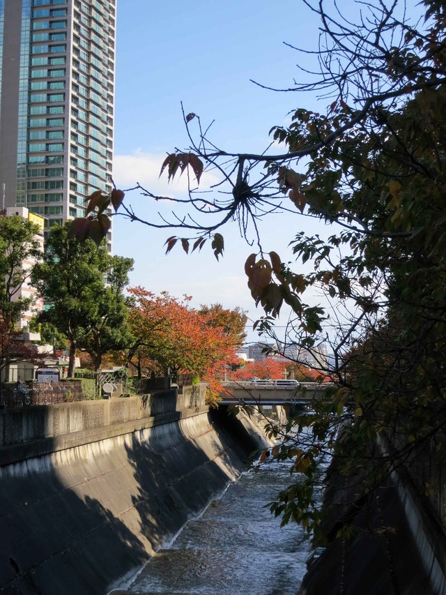 新神戸駅前の新生田川 1_edit