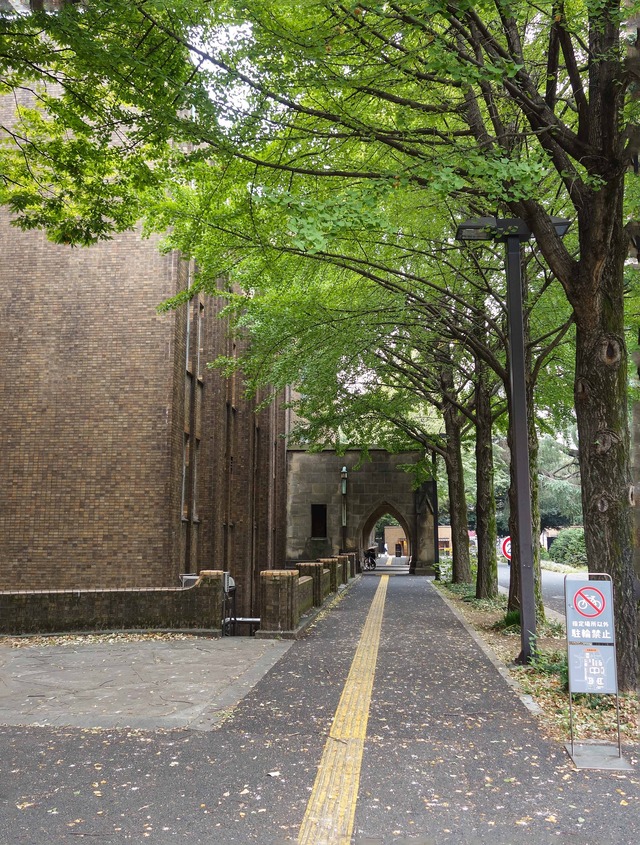 農学部1号館の北側 1_edit