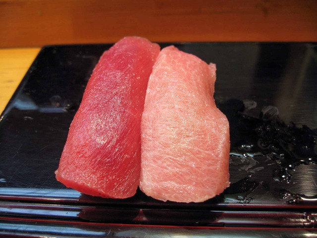 マグロ赤身と中トロ_edit