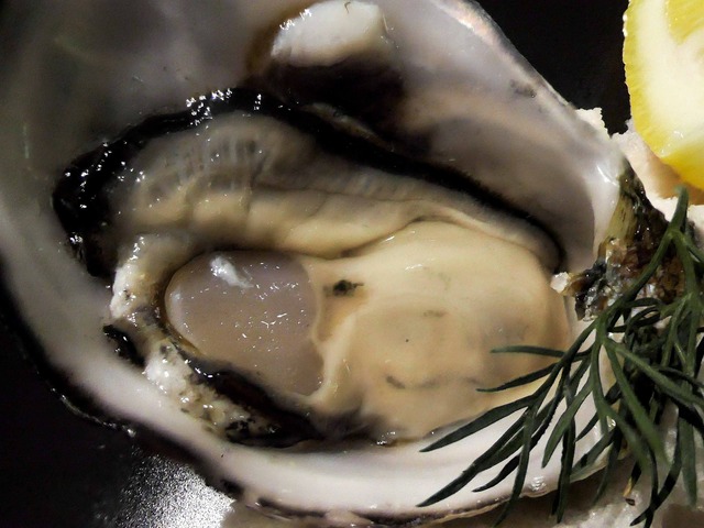 Oysters (natural) 3_edit