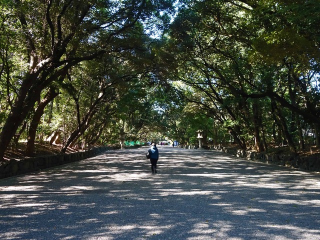 東参道 1_edit