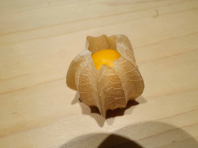ほおずき_edit
