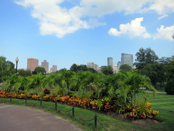 Public Garden 12_edit