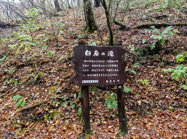 白糸の滝 6_edit
