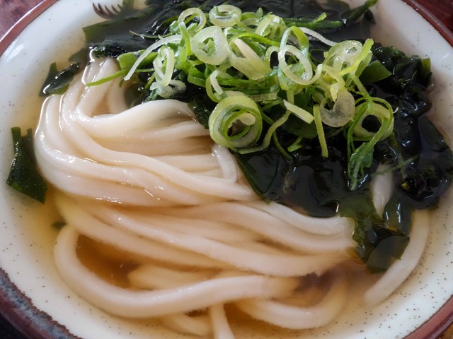 鳴門ワカメうどん 4_edit