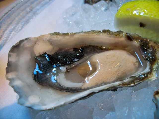 Oyster Sampler 4_edit