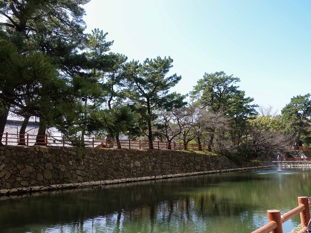水堀 1_edit