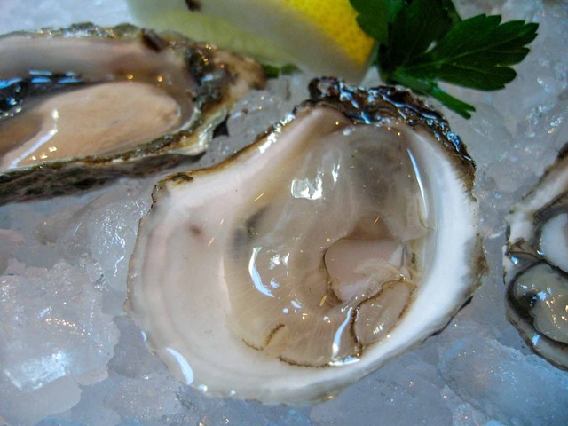 Oyster Sampler 3_edit