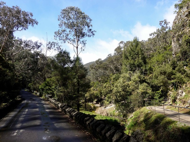 Jenolan Caves Rd 6_edit