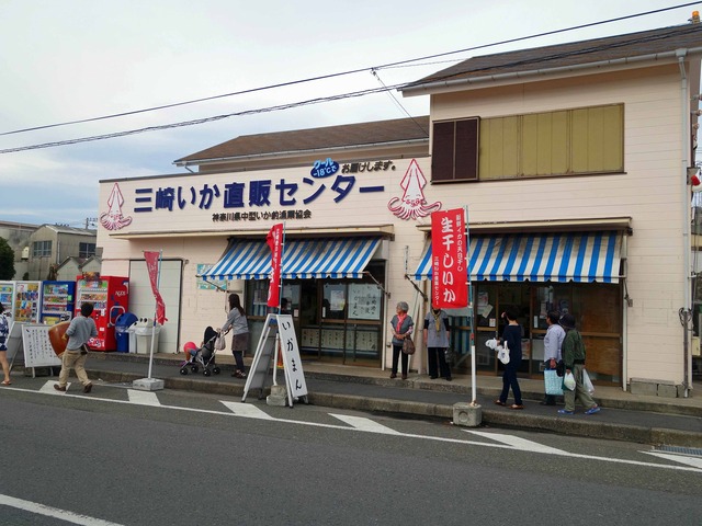 三崎いか直販センター_edit