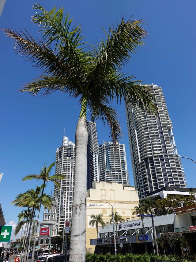 Surfers Paradise Blvd 3_edit