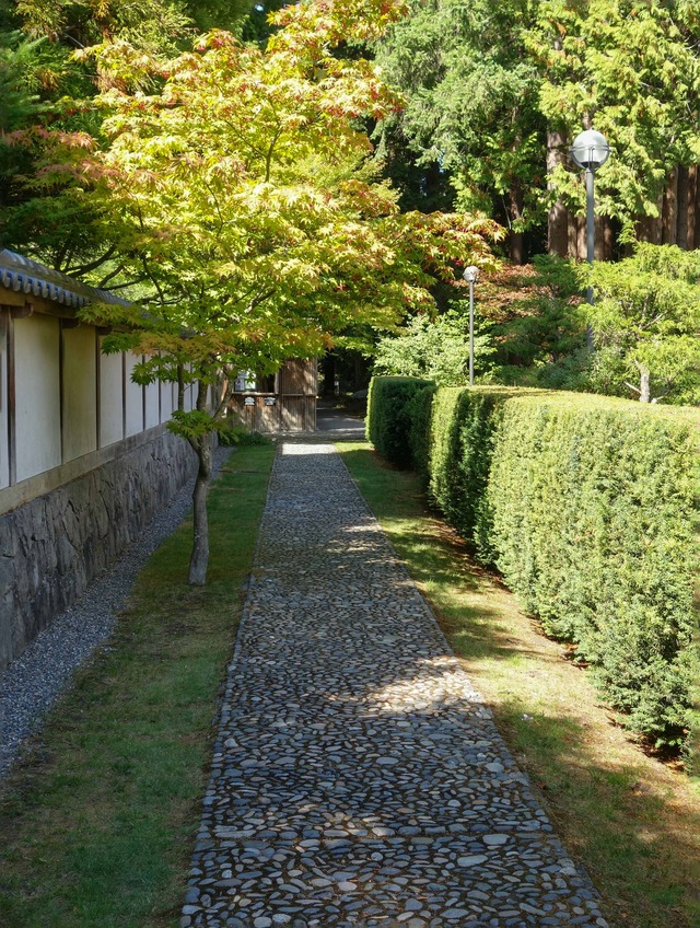 新渡戸記念庭園の東側の小路 1_edit