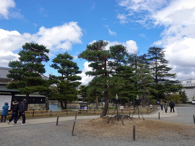 松本城公園 7_edit