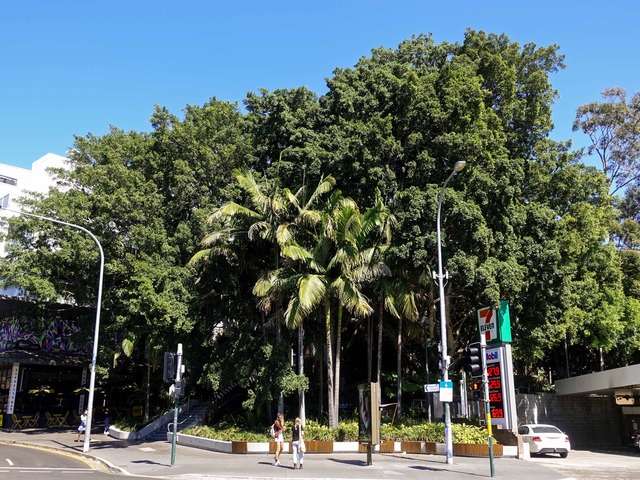 Oxford St と Greens Rd の交差点 1_edit