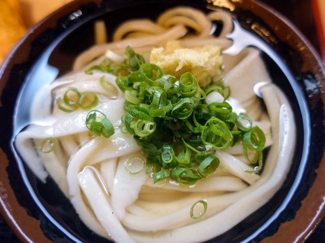 冷かけうどん 1_edit