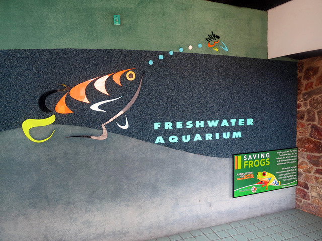 Freshwater Aquarium 2_edit