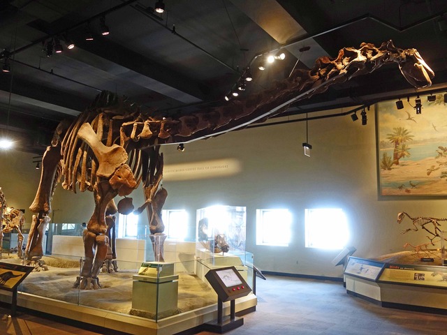 Rapetosaurus 2_edit