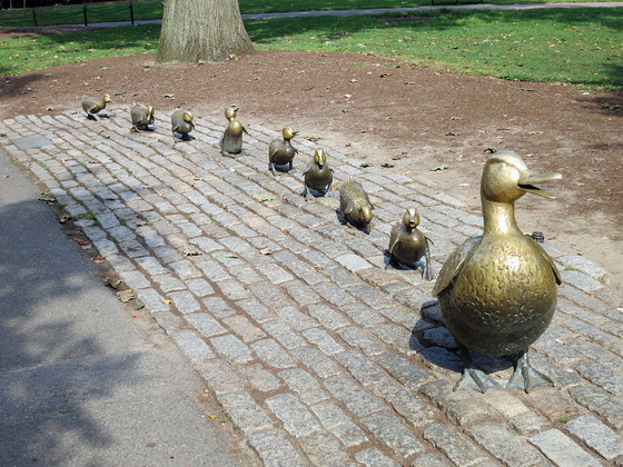 Make Way For Ducklings 3_edit