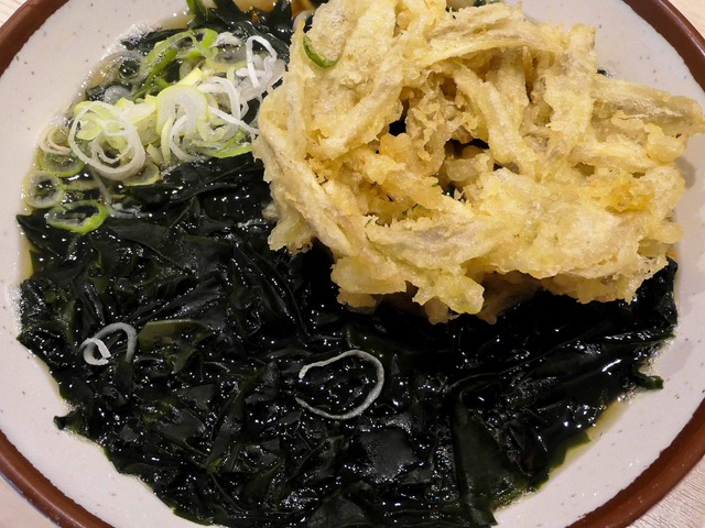 ごぼうかき揚 + わかめそば 2_edit