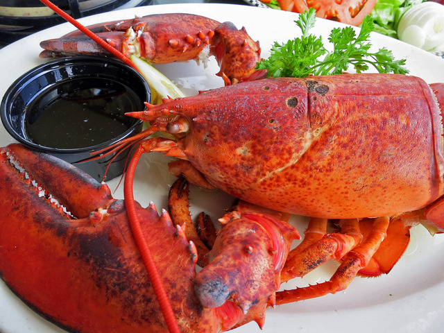Lobster (2 pound) 4_edit