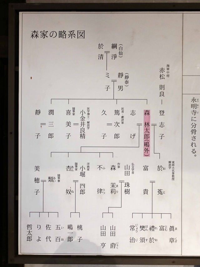 森家の略系図_edit