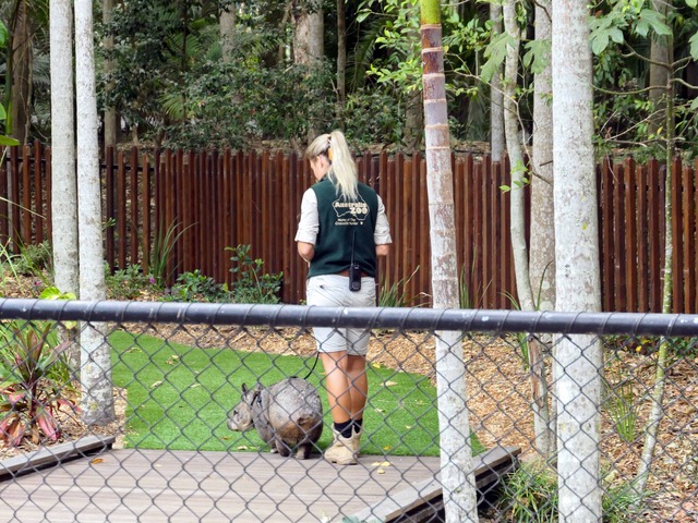 Wombat Walk 49_edit