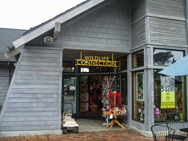 Gift Shop_edit