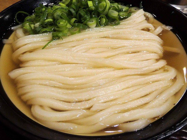 かけうどん 2_edit