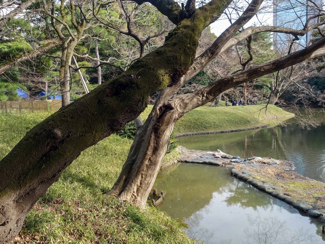 沢渡り_edit