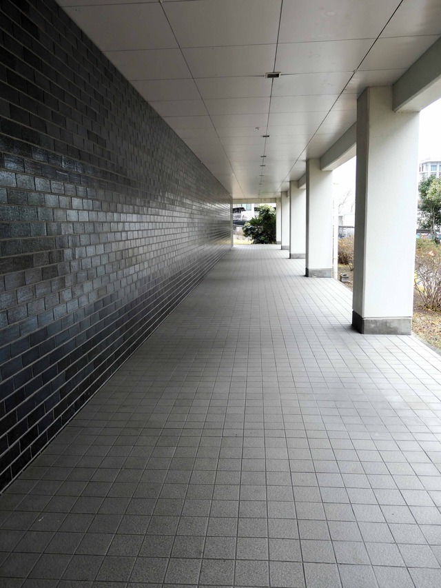 医学部1号館 8_edit