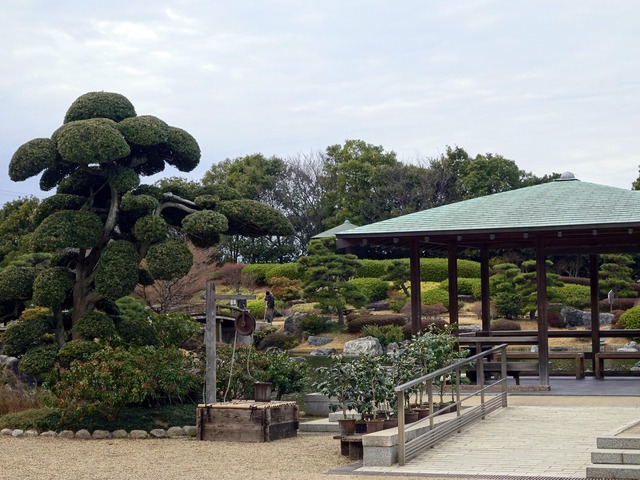 日本庭園 5_edit