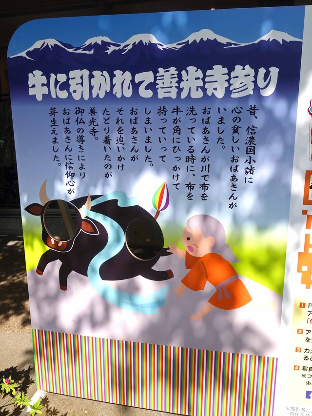 牛に引かれて善光寺参り_edit