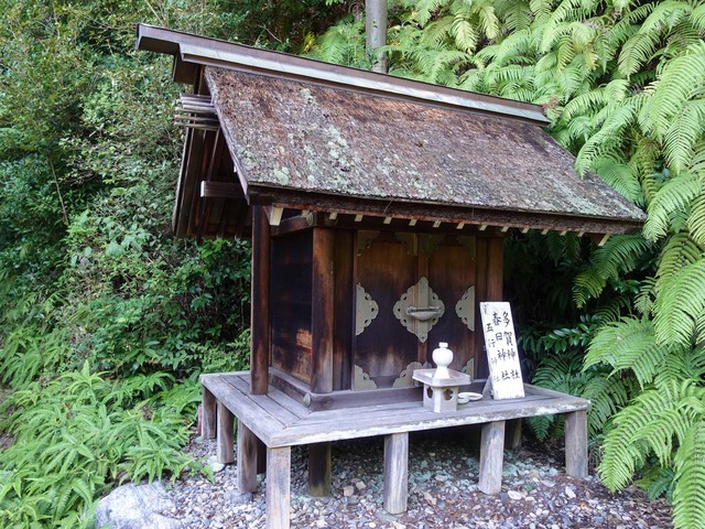 多賀神社 2_edit