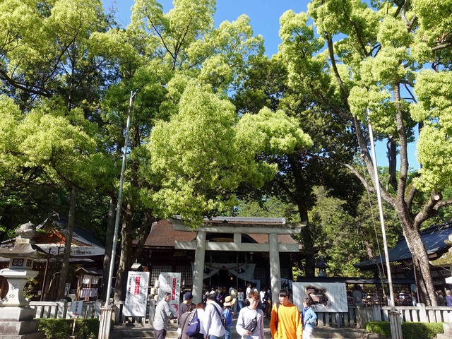 参道 1_edit