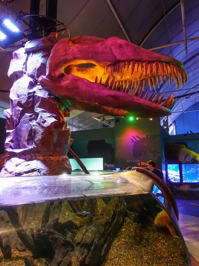 Jurassic Seas 2_edit