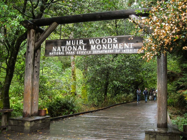 ミュアウッズ国定公園 ミル バレー カリフォルニア州 食で奏でる旅の記憶