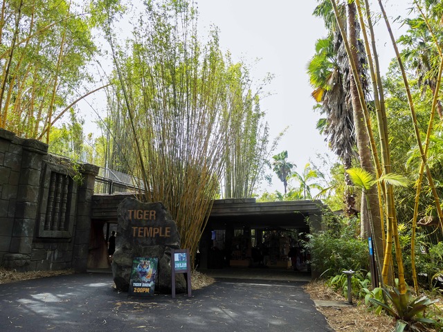 Tiger Temple_edit