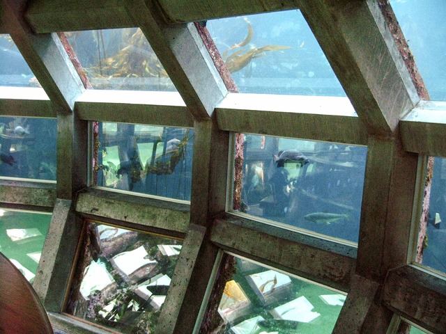 Water Dome 3_edit