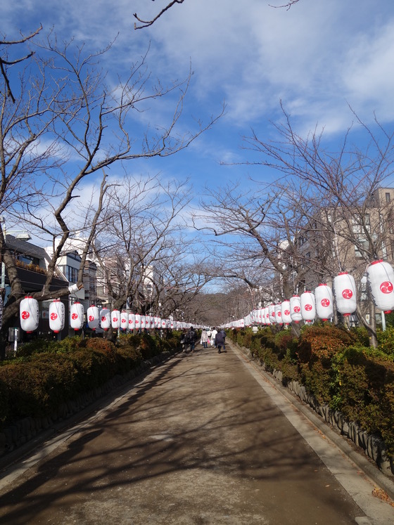 若宮大路の段葛
