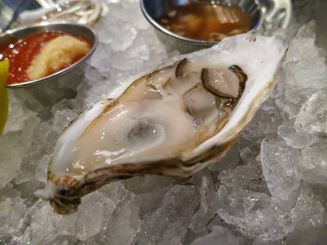 Cape Cod Raw Oysters 2_edit