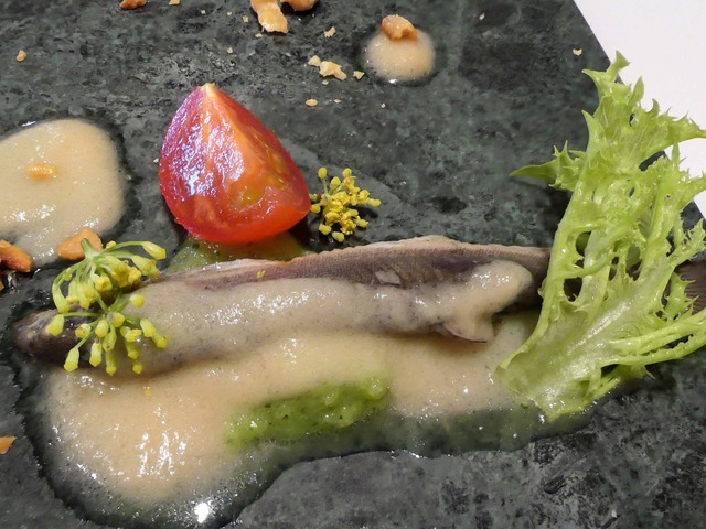 どじょう,岩魚 2_edit