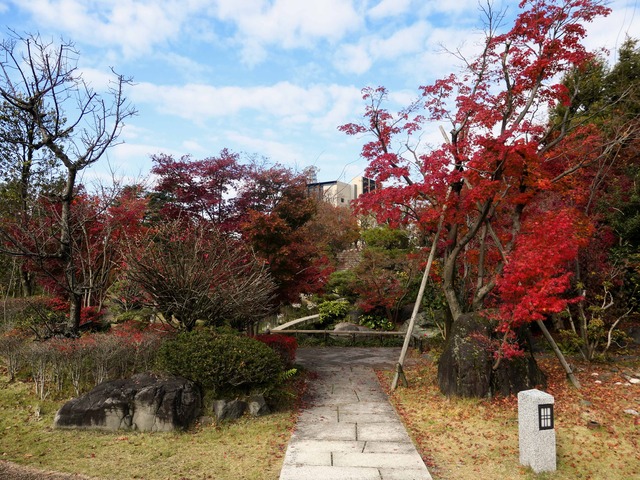 和風庭園 6_edit