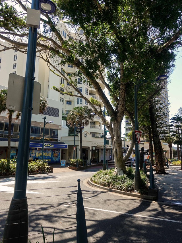 Orchid Ave と Elkhorn Ave の交差点_edit