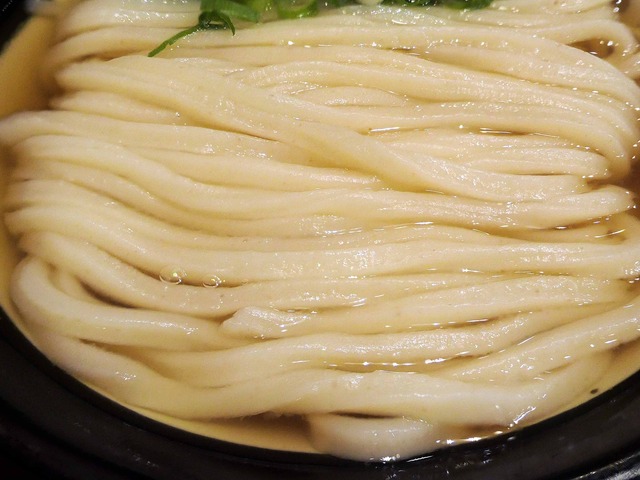かけうどん 3_edit